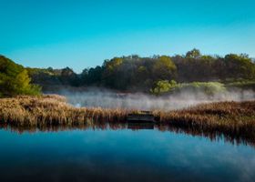 The Quiet Architecture of a Wetland