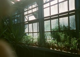The Green Room