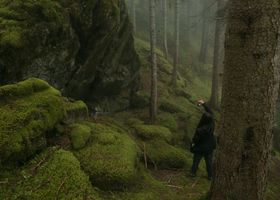 Notes from the Moss Line