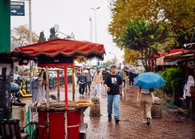 After the Rain, the Market